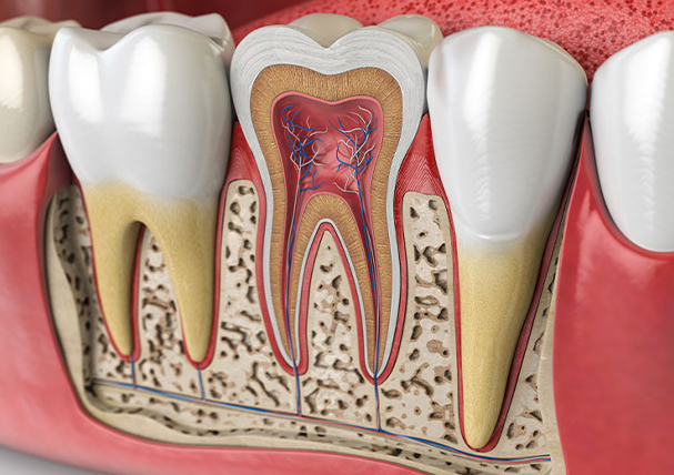 Root Canal Reatreatment in Arcadia